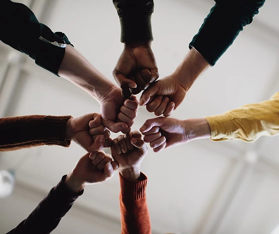 Fists in Solidarity